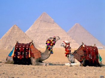 Ростуризм рекомендует туроператорам сократить продажи путевок в мятежный Египет