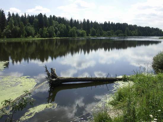 Ничего не отдавали: В Новосибирске опровергли передачу Казахстану озера Сладкое