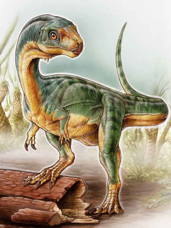 Палеонтологи нашли симпатичного травоядного родственника тираннозавров
