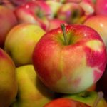 В Коломне пройдет фестиваль «Антоновские яблоки»