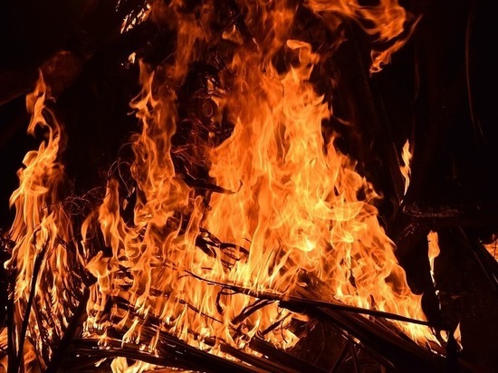 Донбасс останется без хлеба: из-за жары горят поля