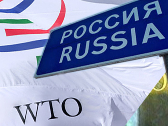 Торговля на спор: чего добилась Россия членством в ВТО