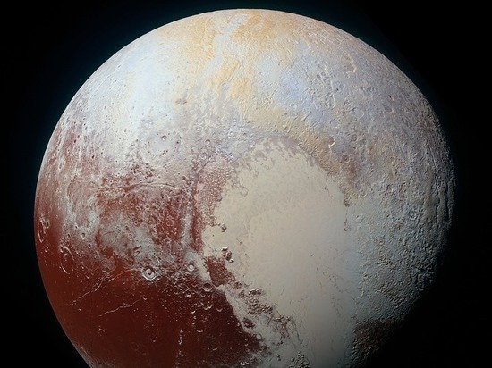 СМИ: NASA прокомментировало новости о гигантских улитках на Плутоне