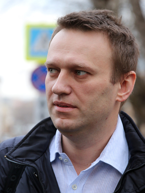 Активисты SERB потребовали запретить Навальному предвыборную агитацию