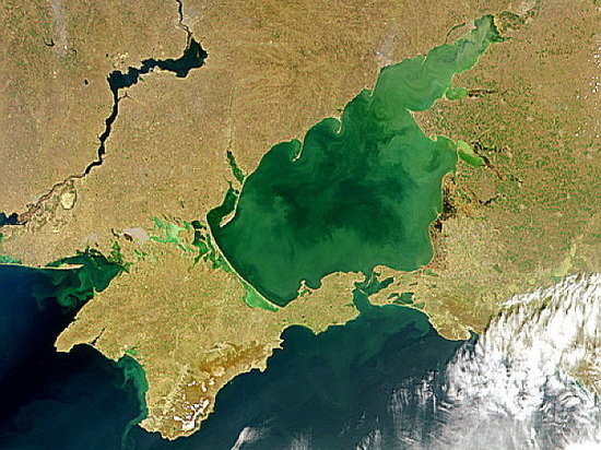 Ученый о планах Украины углубить Азовское море: бесполезная затея