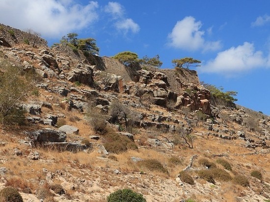Палеонтологи нашли на Крите следы древних родственников человека