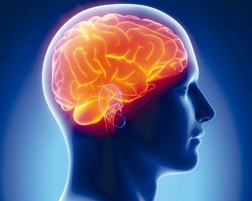 Медики назвали новый способ диагностики болезней мозга