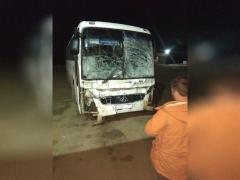 Пассажирский автобус, следовавший по маршруту «Магнитогорск –Челябинск» столкнулся с лошадью