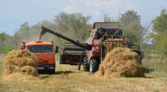 Сушков: Несмотря на сюрпризы погоды, аграрии Челябинской области собрали рекордный за последние четверть века урожай