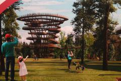 В Челябинске появится эко-парк с 30-метровой смотровой башней